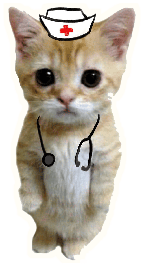 Healthcare
