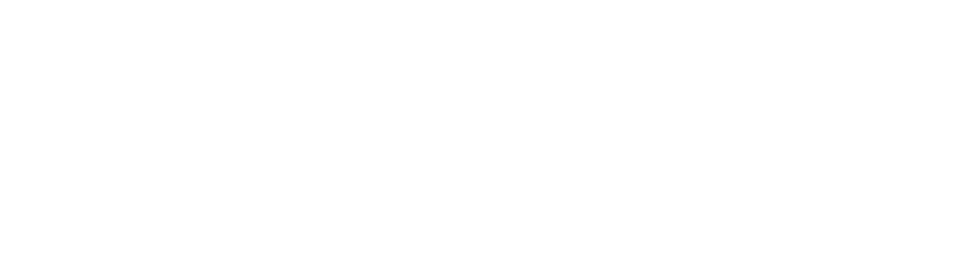 LX Launch